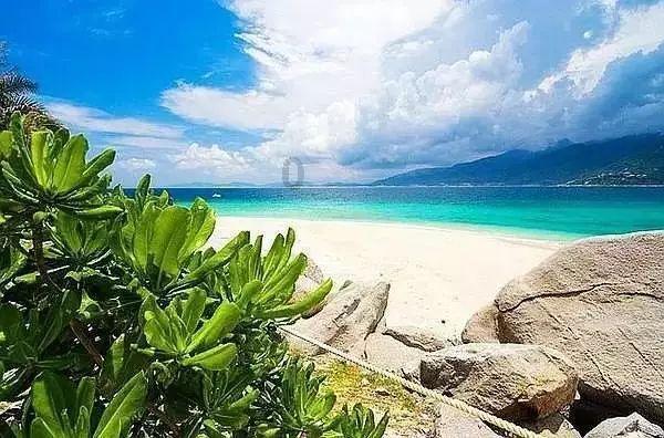 失忆的流浪者